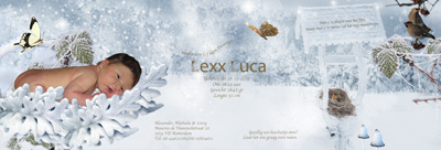 lexx luca